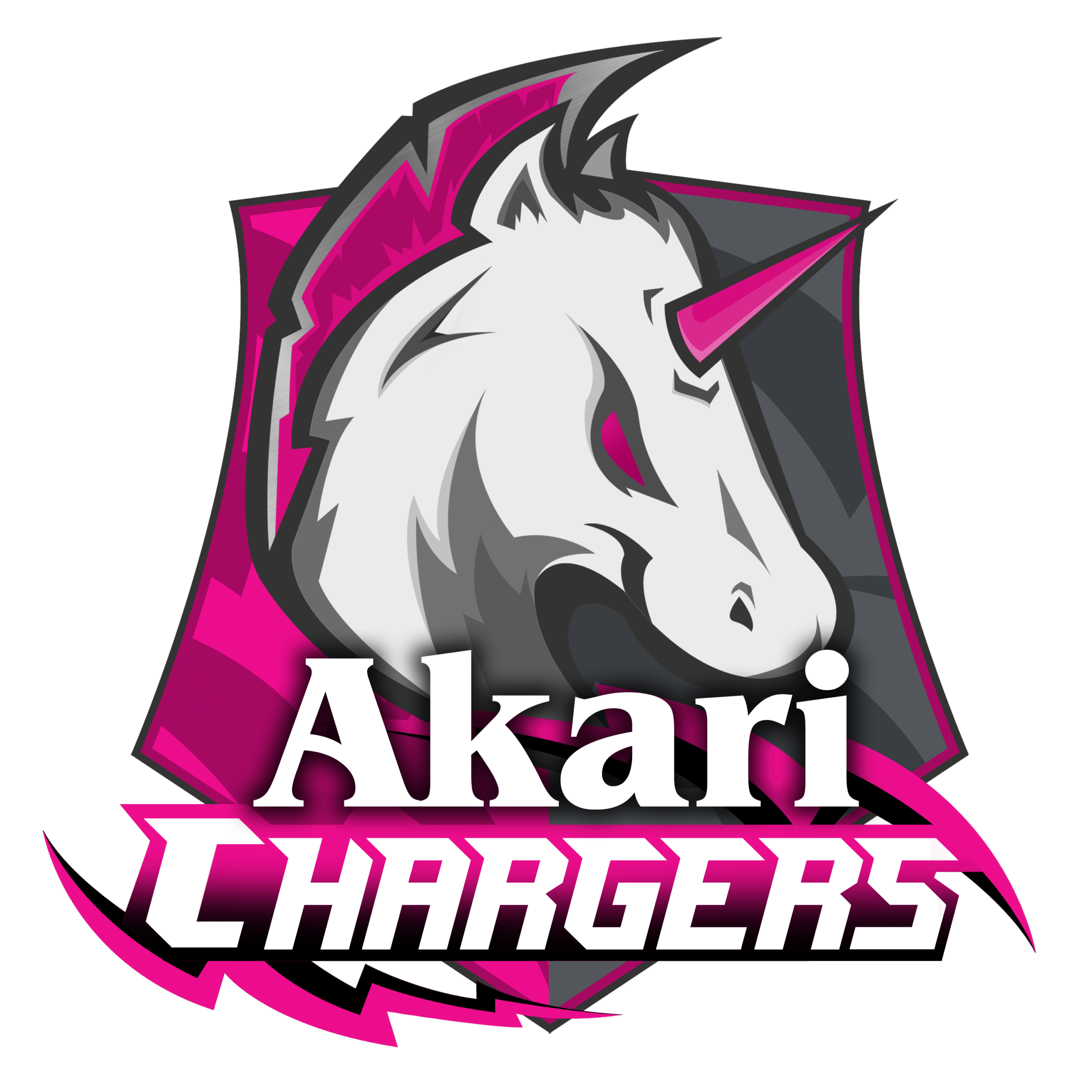 Akari Chargers